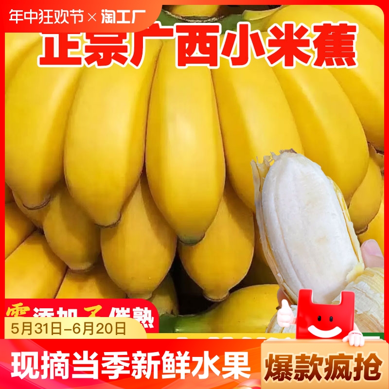 现摘广西小米蕉当季新鲜水果3/5/9斤自然熟banana苹果蕉香蕉粉蕉