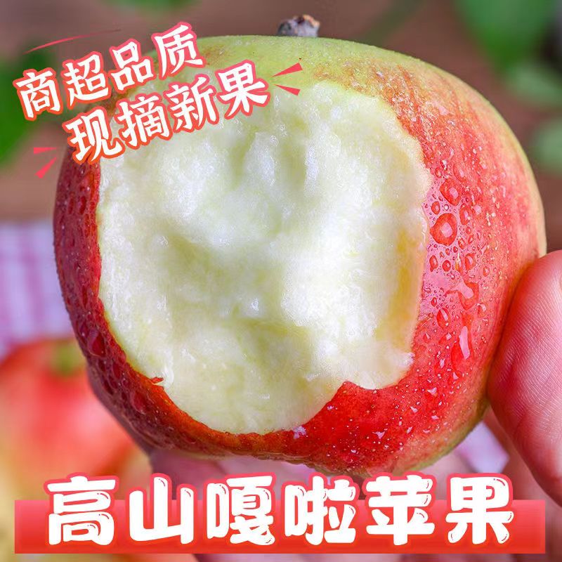 苹果嘎啦5/10斤脆甜非红富士现摘当季新鲜水果不打蜡整箱水果包邮