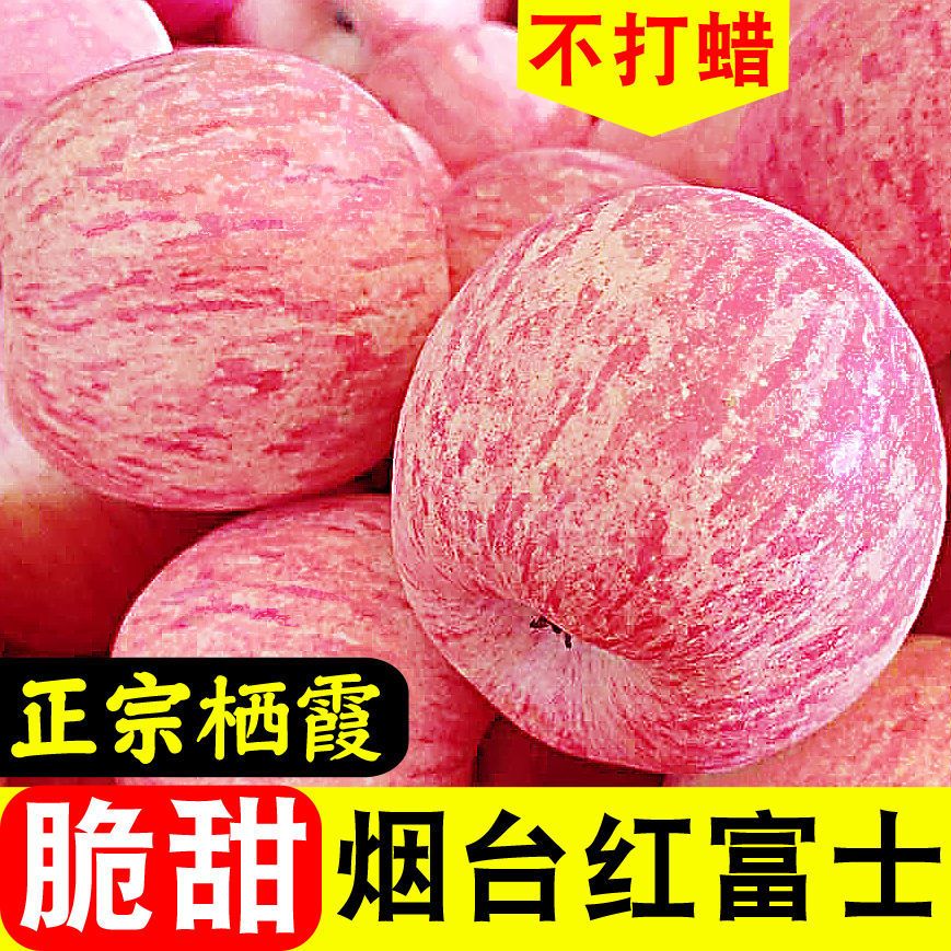 烟台红富士苹果新鲜水果山东栖霞平果助农当季脆甜一级5 9斤包邮