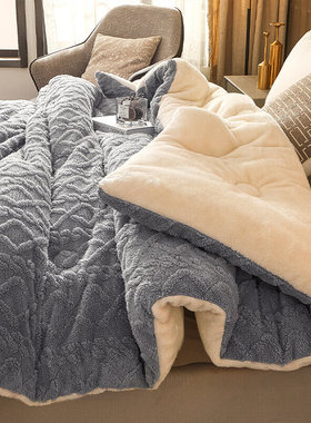 羊羔绒加厚冬被保暖被子棉被毛毯毯子牛奶绒法兰绒冬季床上用品gr