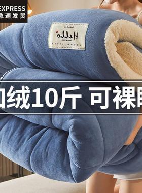 羊羔绒被子2023新款冬季棉被被芯冬天宿舍单人秋冬被加厚保暖10斤