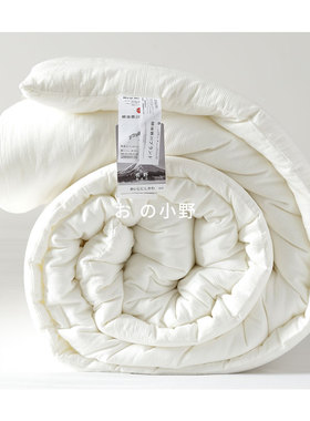 出口日本A类婴儿级全棉加厚保暖冬被纯棉双人春秋被子空调软被芯