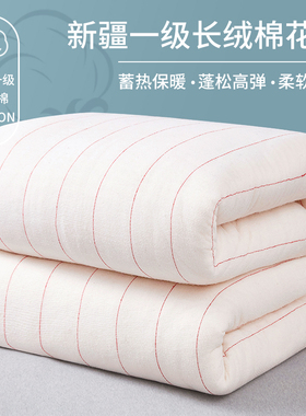 新疆一级长绒棉被棉花被子秋冬被芯加厚保暖纯棉花冬天棉絮床垫被