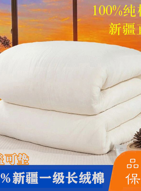 订制新疆棉被纯棉花被子被芯学生单人冬被加厚保暖床褥子垫被棉絮