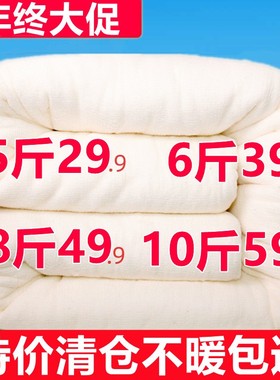棉被垫被加厚保暖棉被芯褥子垫被子冬被棉被芯棉絮床垫被褥子棉胎