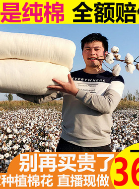 新疆棉被纯棉花被芯冬季全棉被子棉絮单人学生褥子垫被冬被手工被