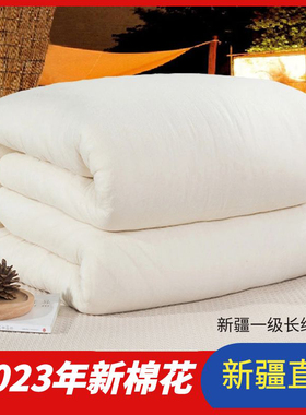 新疆棉花被纯棉花被子盖被芯棉絮床垫被褥子全棉加厚冬被单人双人