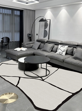 法式轻奢高级感不规则客厅地毯沙发茶几毯黑白简约卧室床边地毯子