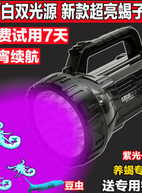 新款照蝎子灯专用强光超亮紫光手电筒蝎子灯户外头戴蝎子灯可充电