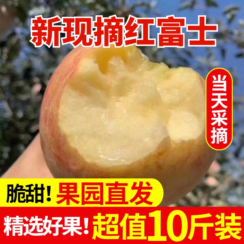 2022现摘红富士新鲜苹果当季水果10斤大沙河丑苹果孕妇原生态脆甜
