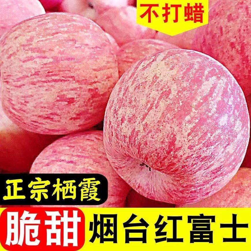 山东烟台栖霞正宗红富士奶油苹果脆甜新鲜水果整箱3/5/9斤特