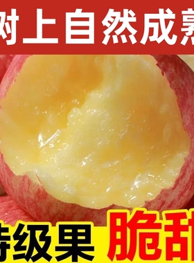 应季水果苹果新鲜水果正宗山东烟台红富士苹果新鲜当季整箱脆甜