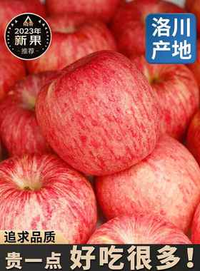 正宗陕西洛川红富士苹果新鲜应当季孕妇水果脆甜冰糖心10斤一级果