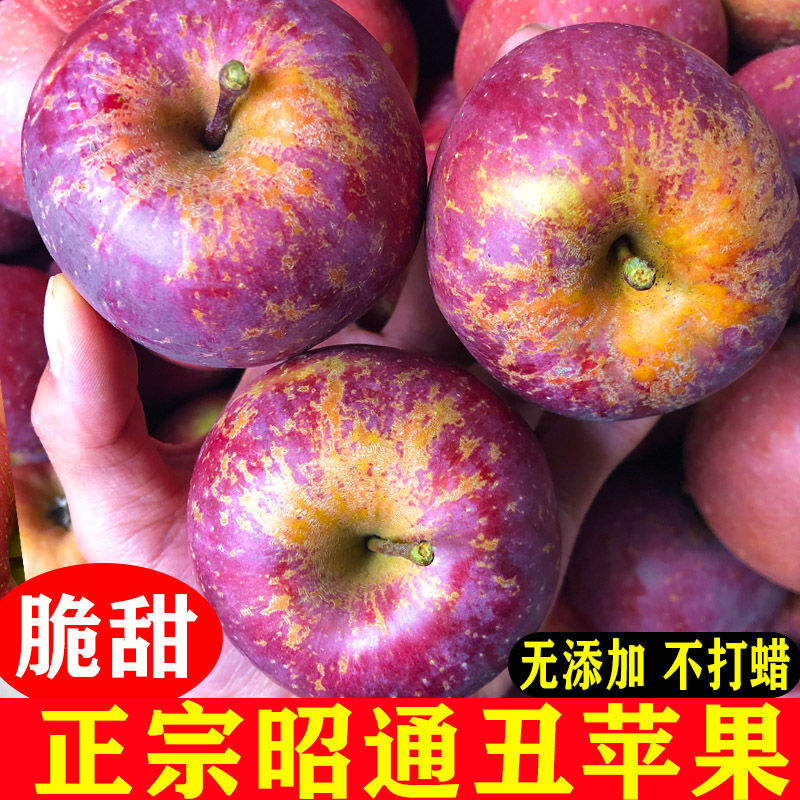 云南昭通冰糖心苹果9斤新鲜水果应当季整箱红富士特级丑平果萍果5