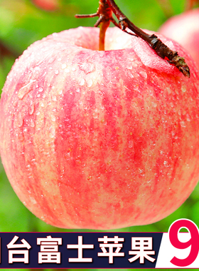 山东烟台红富士10斤苹果水果新鲜整箱包邮应当季冰糖心栖霞脆平果