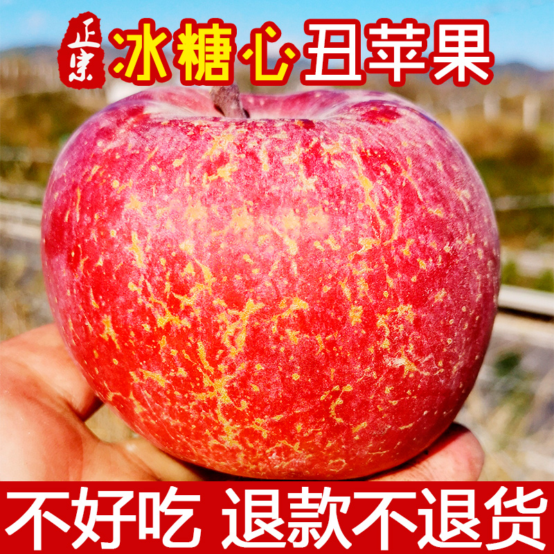 云南昭通苹果水果新鲜当季冰糖心丑萍果现摘红富士10斤平整箱