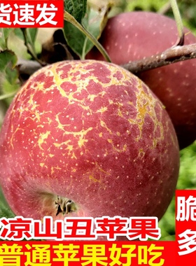 四川大凉山冰糖心丑苹果当季新鲜红富士野生苹果整箱10斤水果包邮