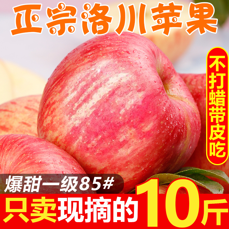 正宗洛川苹果10斤红富士苹果水果正宗脆甜糖心苹果新鲜苹果