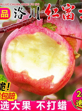 正宗陕西洛川苹果水果新鲜脆甜冰糖心红富士苹果丑10斤当季整箱