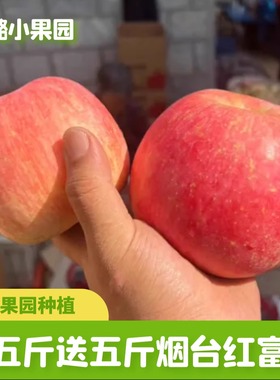 【买5斤送5斤】山东烟台红富士丑苹果 脆甜当季新鲜水果10斤整箱
