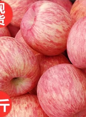 新鲜白水红富士苹果陕西当季水果脆甜皮薄无渣5斤冰糖心丑平果9斤