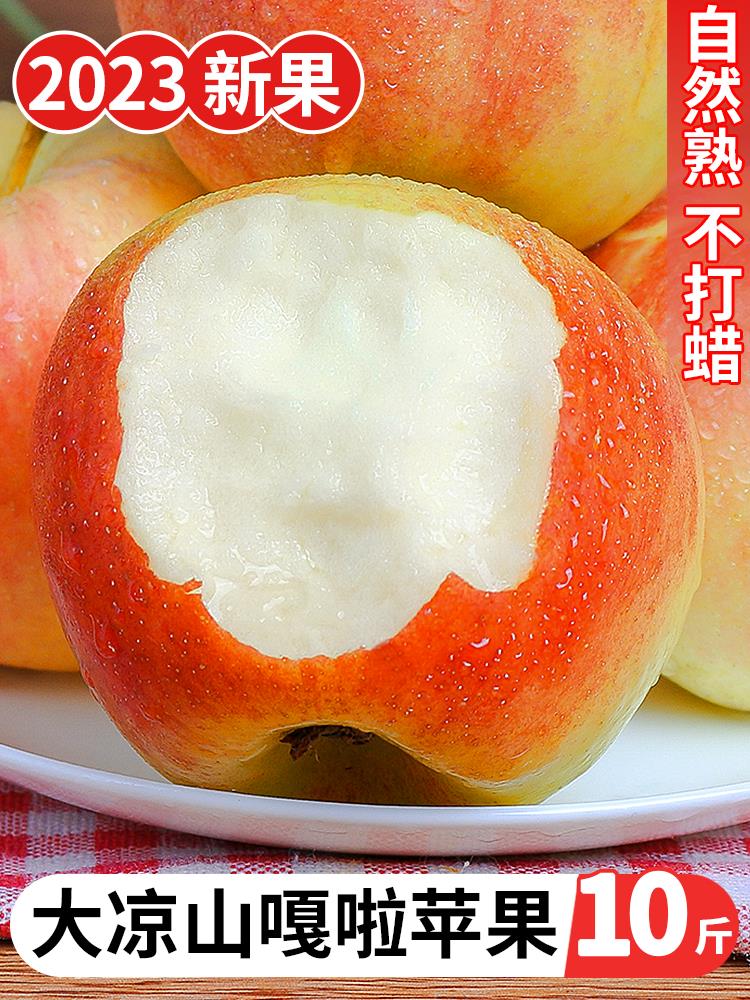 大凉山嘎啦苹果10斤丑苹果水果新鲜当季整箱四川盐源红富士