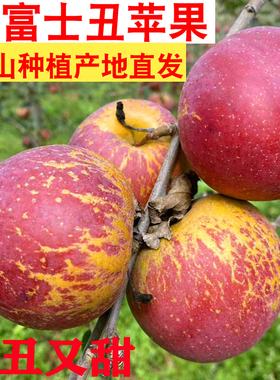 云南昭通市丑苹果冰糖心苹果新鲜水果当季整箱绍通孕妇红富士苹果