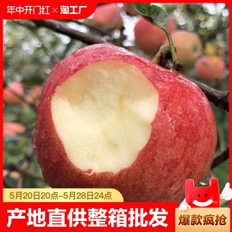 脆甜红富士苹果时令新鲜水果冰糖心丑苹果整箱批发多规格客服果园