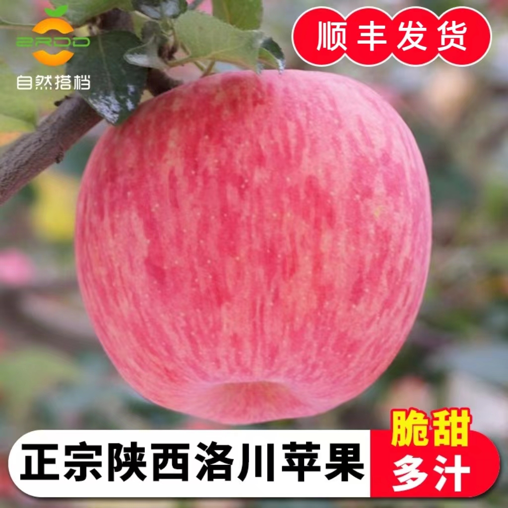 正宗陕西洛川苹果5斤新鲜水果延安红富士苹果顺丰发货自然搭档
