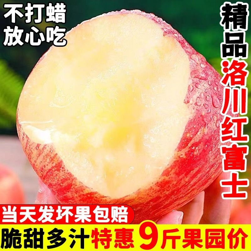 陕西洛川苹果10斤新鲜水果红富士当季整箱冰糖心脆甜苹果原产地