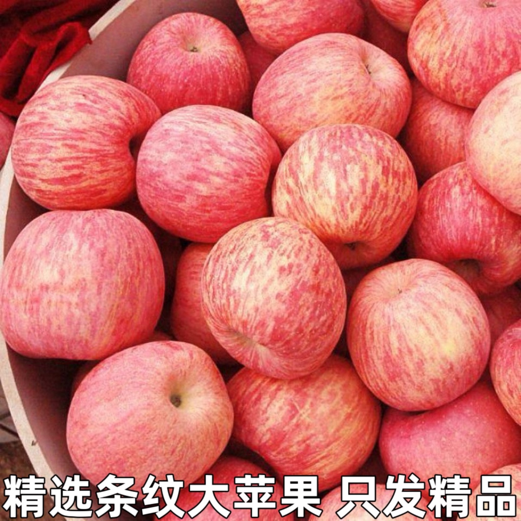 新鲜苹果水果整箱当季陕西洛川正宗红富士冰糖心脆甜人工挑选包邮