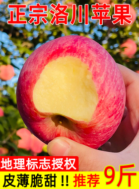 【顺丰】正宗洛川苹果陕西延安红富士水果新鲜当季带箱10斤