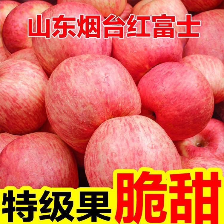 正宗山东烟台苹果红富士苹果当季新鲜水果脆甜多汁一级大果整箱