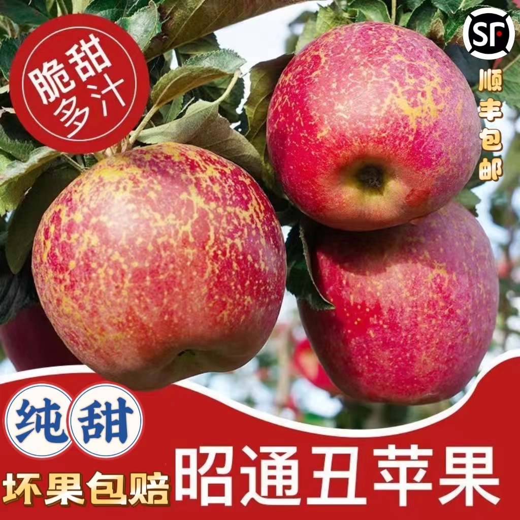 云南昭通丑苹果高原冰糖心红富士新鲜水果当季脆甜精装10斤包邮