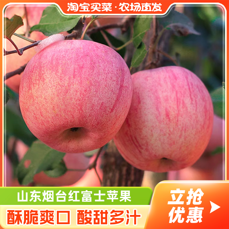 正宗山东烟台红富士苹果新鲜水果脆甜当季水果整箱