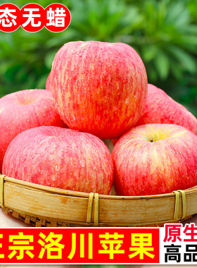 正宗陕西洛川苹果新鲜水果9斤当季水晶红富士整箱礼盒特大果