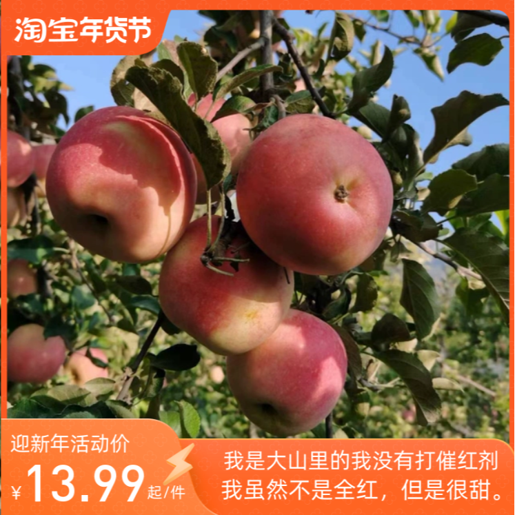 无农药丑水果新鲜整箱当季纯天然红富士苹果现采现发当季大果