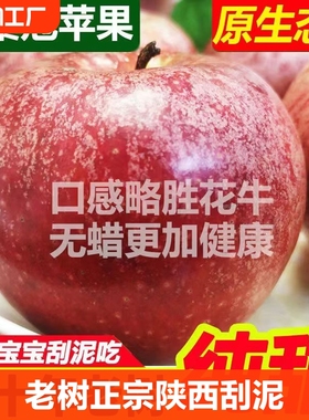 陕丑苹果脆甜粉面沙香纯甜当季新鲜水果5/10斤非红富士一级直发