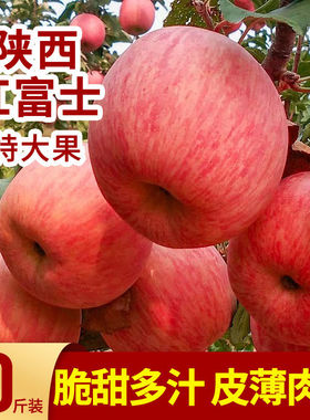 正宗陕西洛川红富士苹果水果新鲜脆甜整大箱10斤当季应季水果现摘