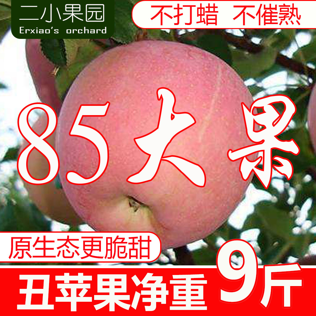 新鲜红富士丑苹果水果净重9斤整箱大平果山西脆甜非冰糖心萍果