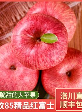 洛川苹果陕西红富士新鲜水果20枚85脆甜大果时令水果新鲜礼盒顺丰