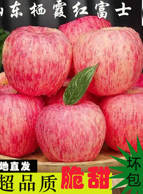 山东烟台红富士苹果当季现摘水果新鲜脆甜不打蜡带皮吃整箱