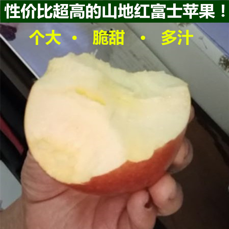 整箱10斤高山红富士苹果脆甜新鲜带皮吃的丑苹果当季水果非冰糖心
