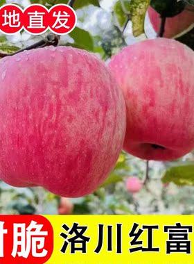 洛川丑苹果正宗陕西红富士新鲜水果当季产地直发3/5/8/10斤