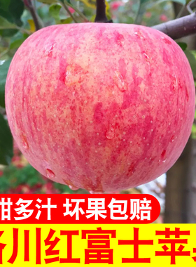 正宗陕西洛川苹果整箱红富士8.8斤1