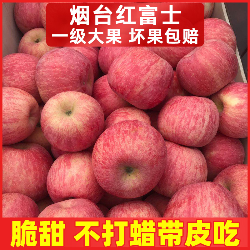 山东烟台红富士苹果脆甜栖霞一级当季新鲜水果10斤整箱萍果