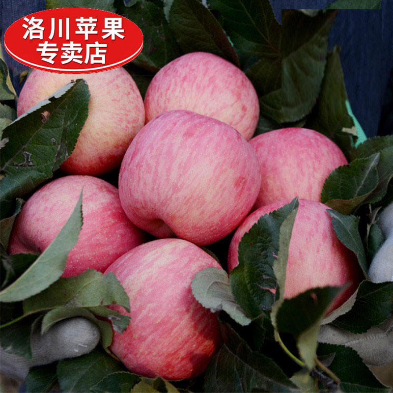 正宗陕西洛川苹果红富士时令水果一级新鲜带箱12斤24枚80mm品质果