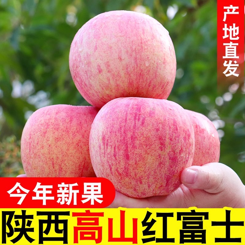 苹果水果红富士陕西高山苹果脆甜多汁当季新鲜丑苹果粉面香甜2