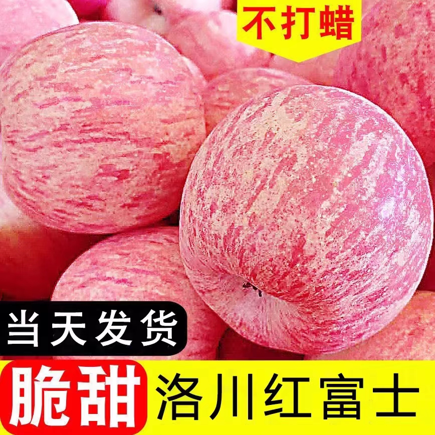 洛川苹果陕西延安红富士时令苹果水果生鲜新鲜脆甜整箱