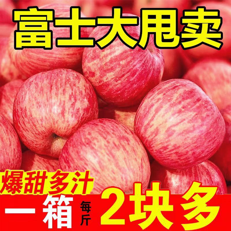 陕西洛川红富士苹果新鲜水果10斤当季现摘冰糖心一级脆甜大果